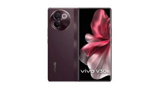 vivo V30e